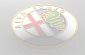 No icon set